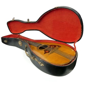 Neapolitan Phoebe mandolin in its black wooden case - Early 20th century - Traditional Italian instrument