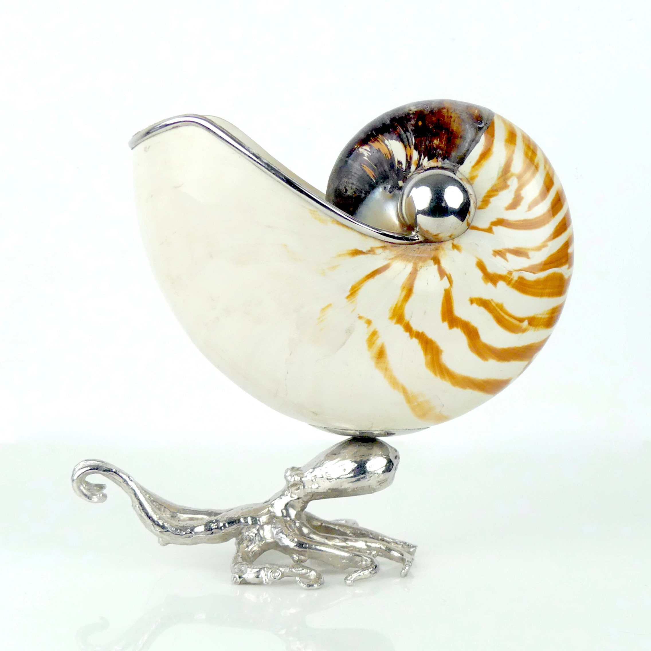 Coquille de Nautile Montée sur Pieuvre en Rhodium - Curiosité La Mer