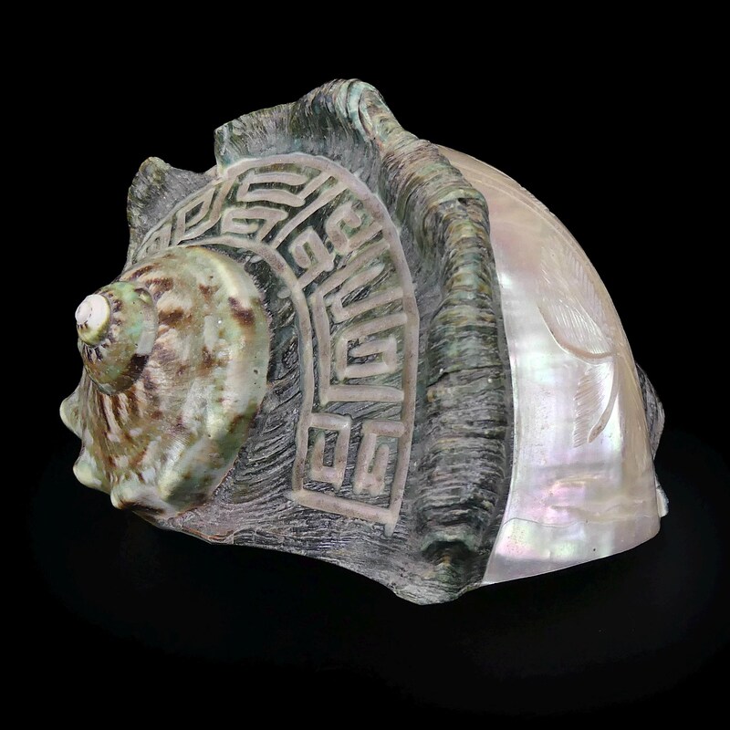 Engraved Shell - Etsy