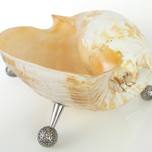 Large Melo Amphora bowl on design feet - Tableware - Curiosity of the sea