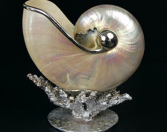 Coquille de nautile blanc irisé sur branche de corail en rhodium - Curiosité de la mer - Cabinet de curiosités