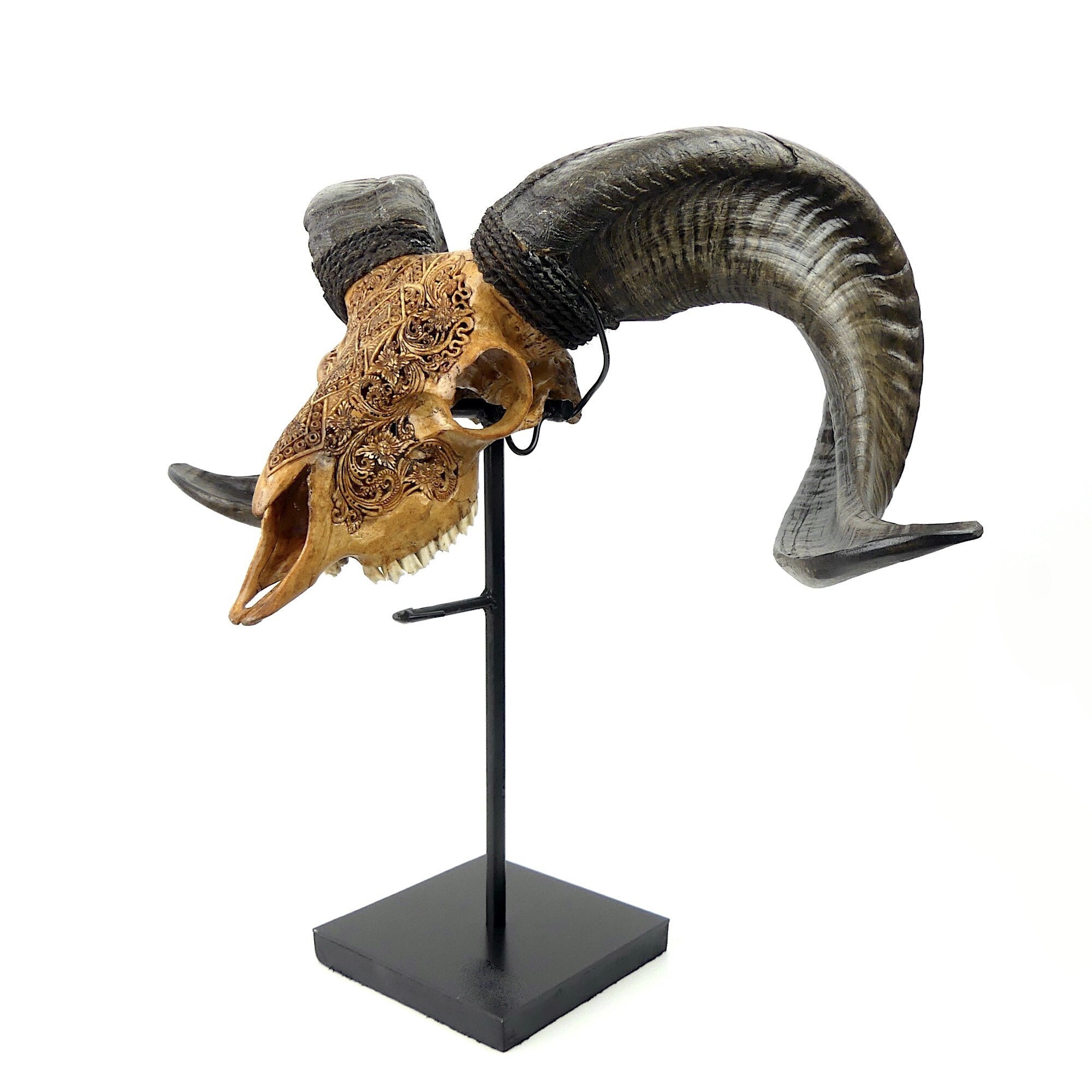 Crâne de Bélier Ovis Aries sur Socle, Ciselé, Ajouré à La Main, Décoré Motifs Traditionnels Balinais