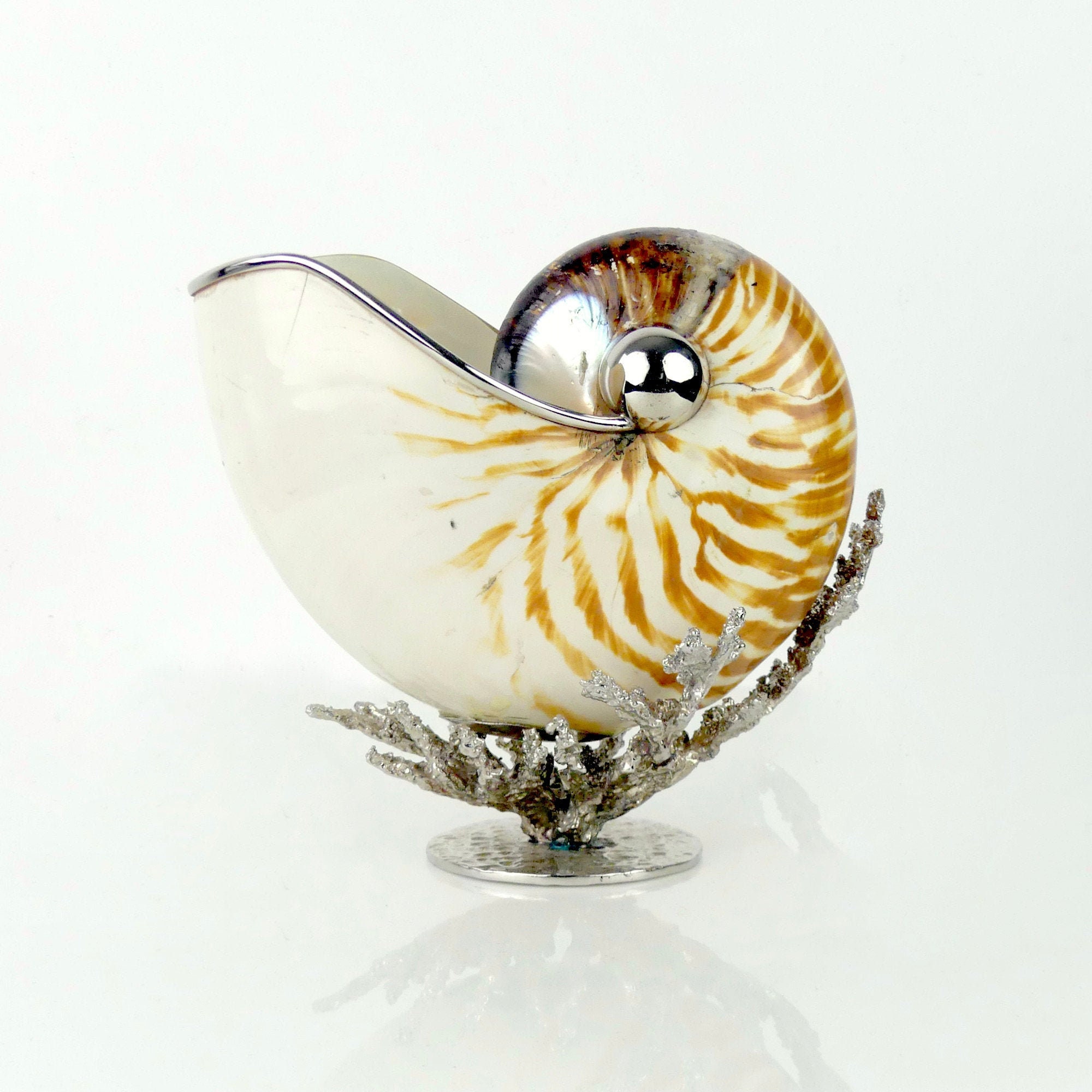 Coquille de Nautile Montée sur Branche Corail en Rhodium - Curiosité La Mer