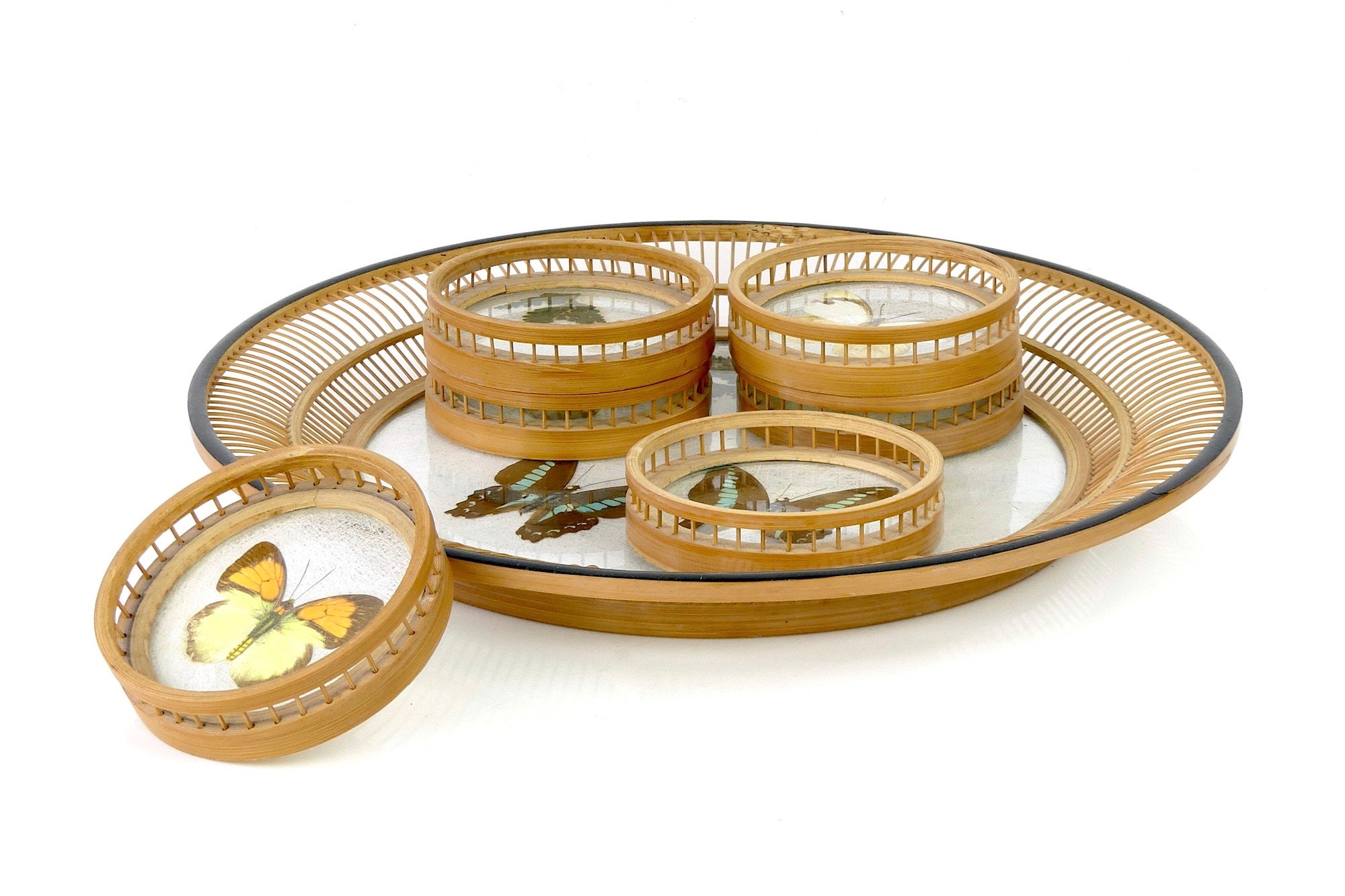 Plateau en Bambou Aux Papillons Naturalisés et 6 Sous-Verres Ronds - Déco Vintage Mi-xxe Curiosité