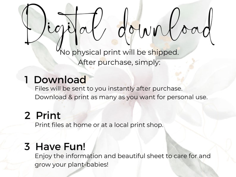 spider-plant-care-sheet-ribbon-plant-care-sheet-digital-download
