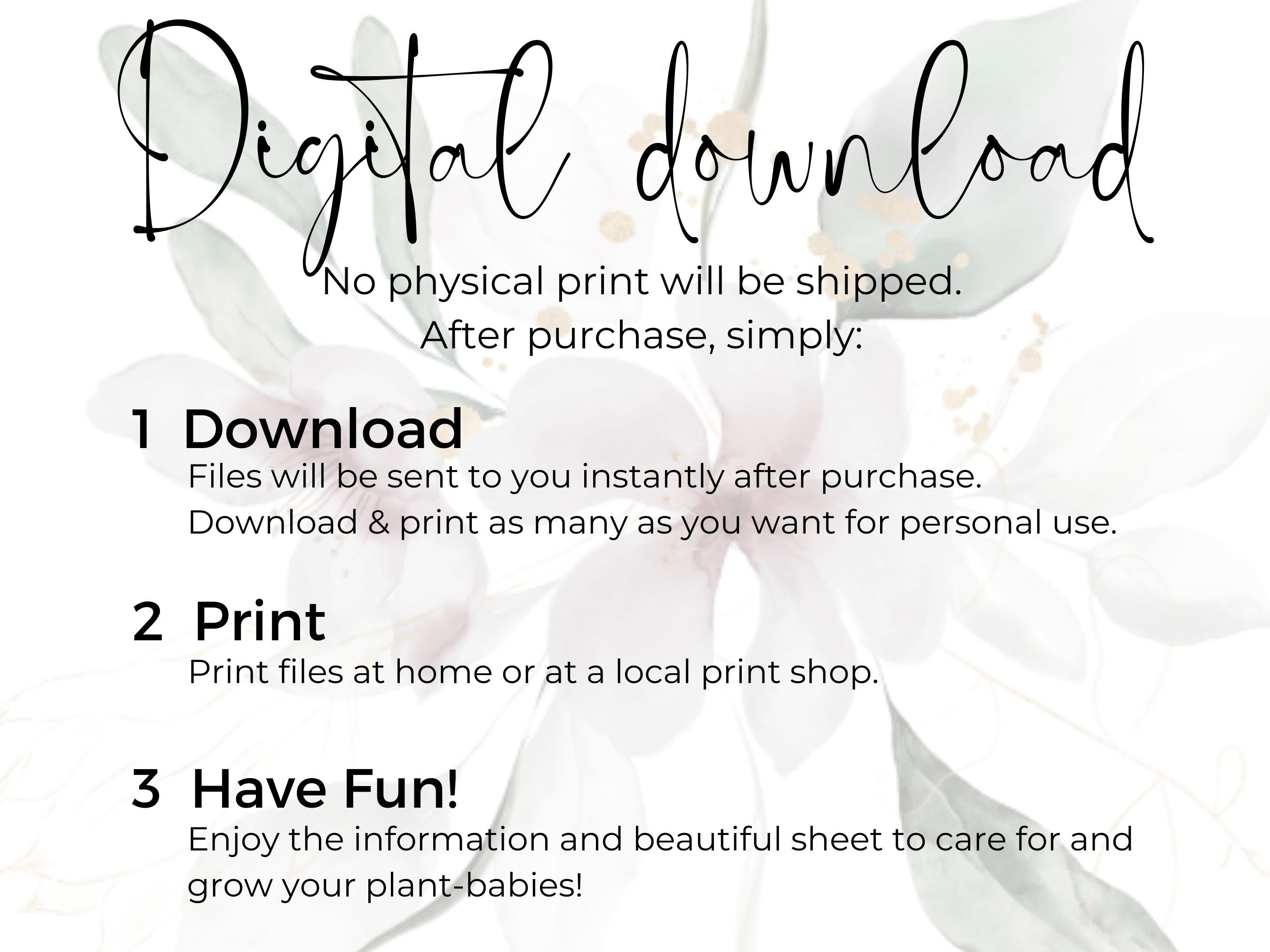 Spider Plant Care Sheet | Ribbon Plant Care Sheet | Digital Download ...