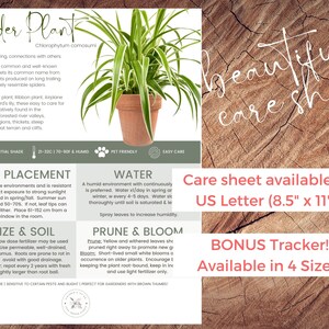 Spider Plant Care Sheet &amp; Tracker Bundle | Ribbon Plant | Plant Care ...