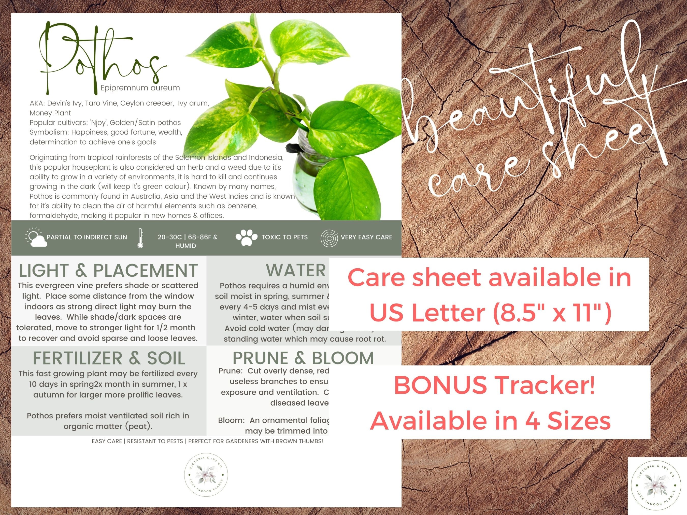 Golden Pothos Plant Care Sheet & Tracker Bundle | Devil's Ivy | Plant Care  Tracker | Plant Log | Green | Digital Download | Colouring Page - Etsy