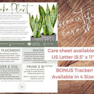 May include: A care sheet for snake plants, featuring a photo of the plant in a decorative pot. The sheet includes care instructions, light and placement tips, and fertilizer and soil recommendations. Text on the sheet reads "Care sheet available in US Letter (8.5" x 11")".