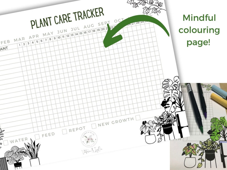 Golden Pothos Plant Care Sheet & Tracker Bundle | Devil's Ivy | Plant ...