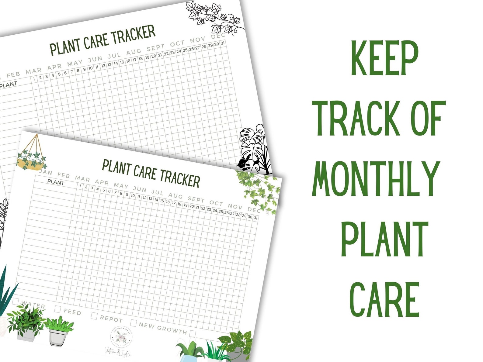 Golden Pothos Plant Care Sheet & Tracker Bundle | Devil's Ivy | Plant ...