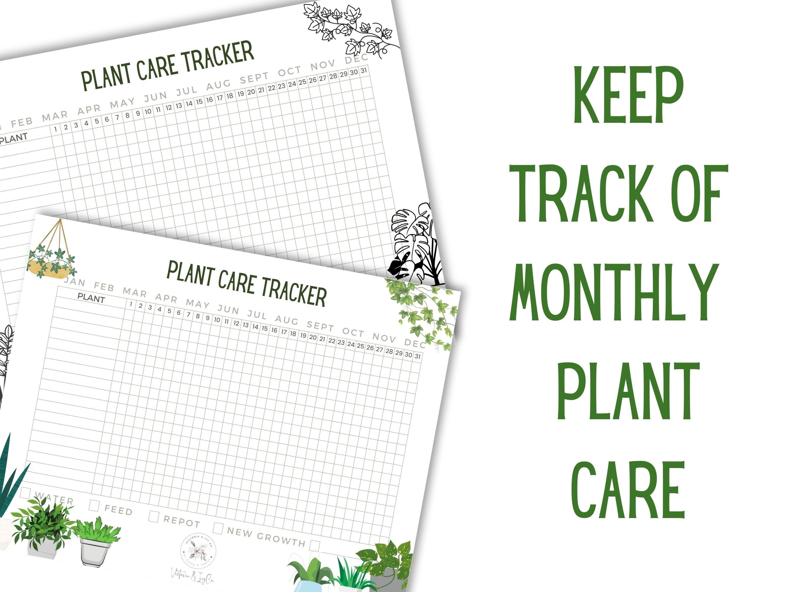 Spider Plant Care Sheet &amp; Tracker Bundle | Ribbon Plant | Plant Care ...
