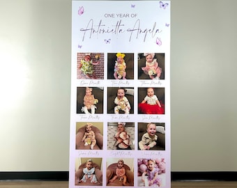 Our Little Butterfly 12 Month Photo Board - My First Year - 1st Birthday Milestone Board - Custom First Birthday Backdrop - One Year of