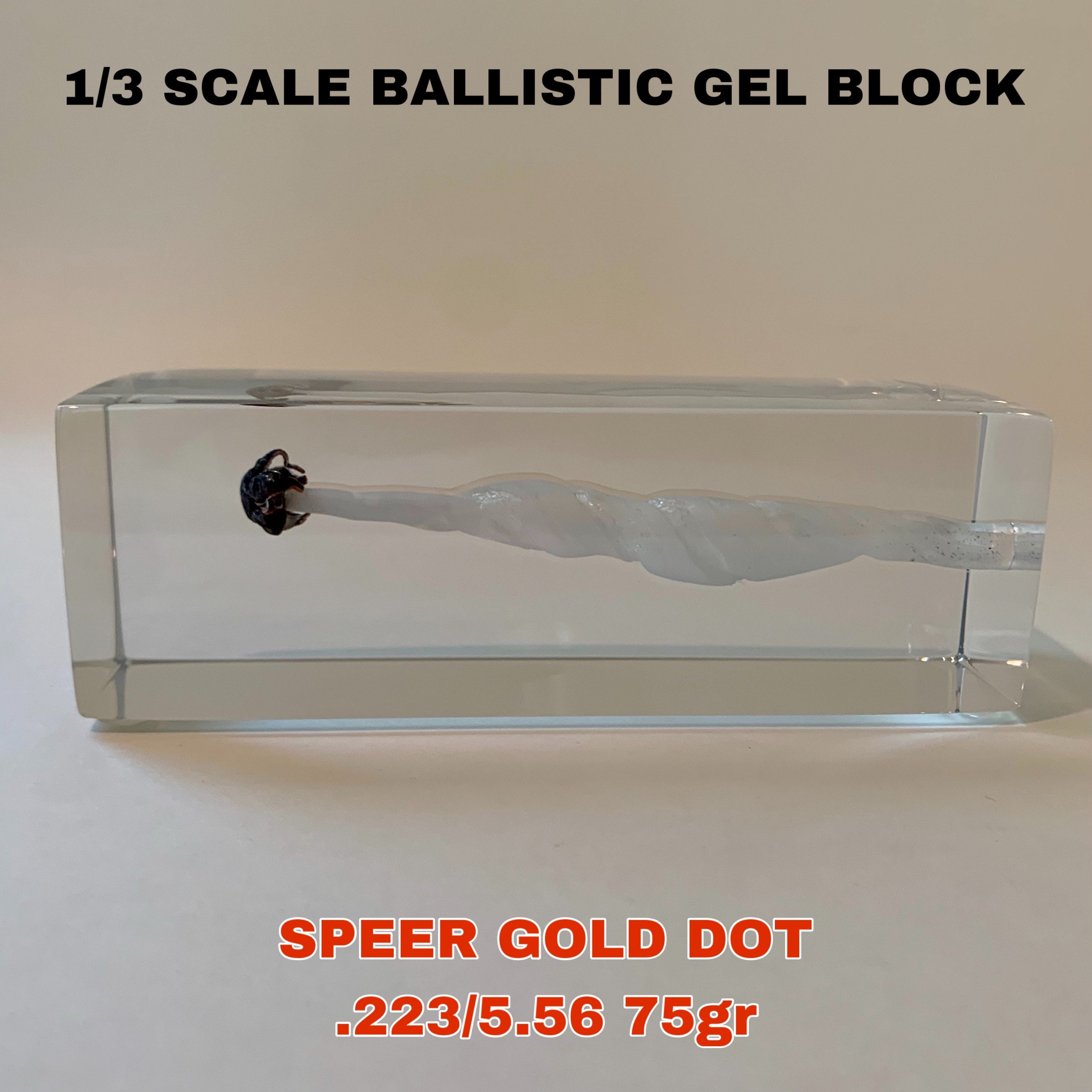 Buy 1/3 Scale FBI Clear Ballistics Gel Block Bullet of Your Choice Crystal  Clear Bubble Free UV Resistant Online in India 