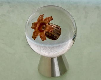 45ACP CorBon DPX 185 Grain +P Bullet - Encased In Resin Sphere - Clear Acrylic Ring Stand Included - Great Conversation Piece