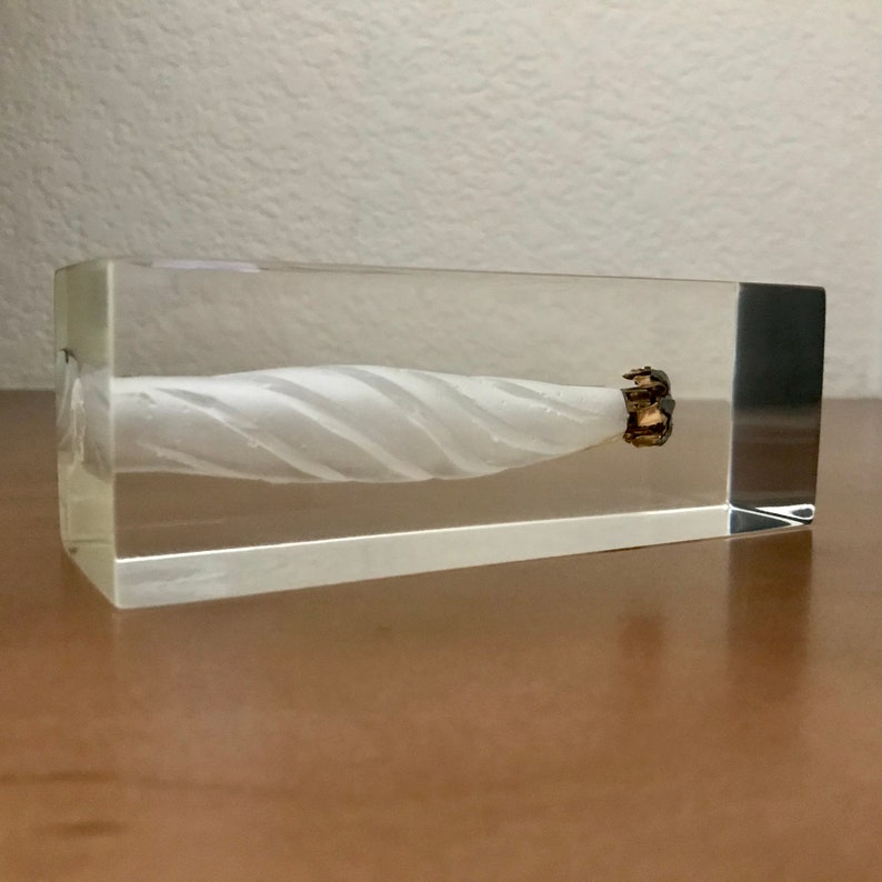 1/3 Scale FBI Clear Ballistics Gel Block Bullet of Your Etsy