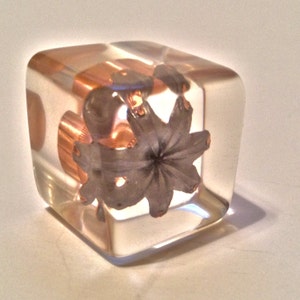 Stunning .45 Long Colt CCI Blazer 200 Grain - Fully Expanded Bullet - Encased In Resin - Great Desktop Pendant/Paperweight