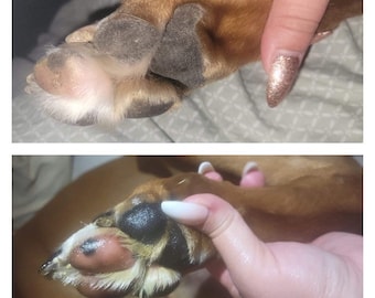 Fenrir (For Boops & Beans) natural dog nose and paw balm