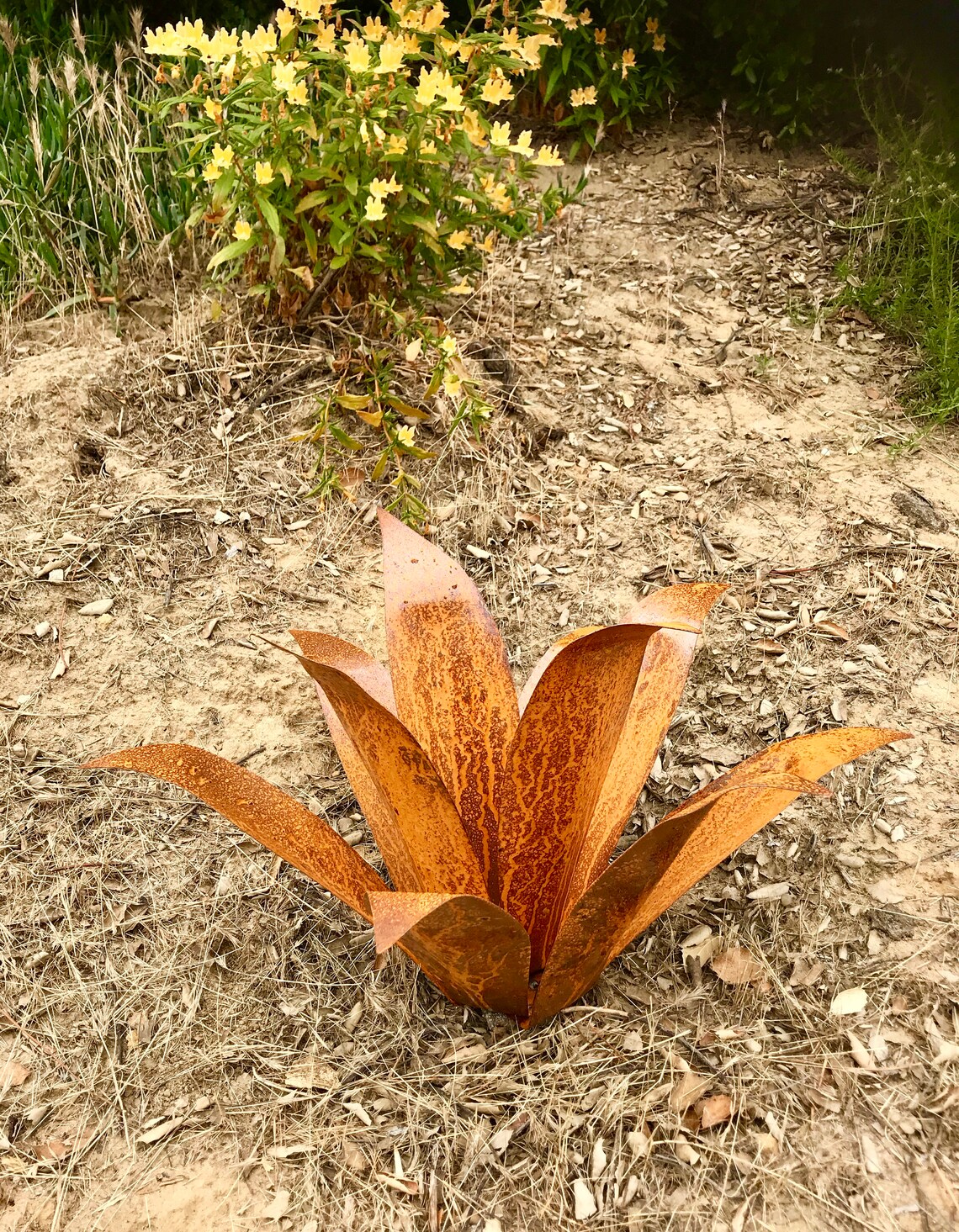 Maguey de ToPA Rústico Agave Metal Escultura Arte Metal | Etsy