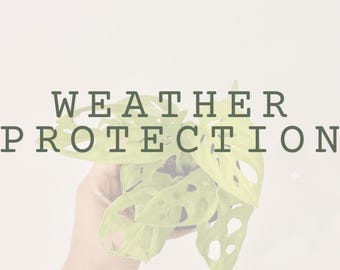 Weather Protection