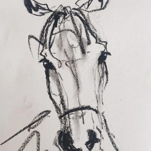 Horse Oil Pastel Drawing | Original Minimalist Wall Art