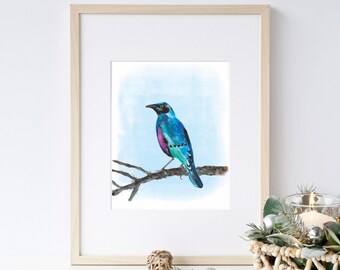 8x10 Greater Blue Eared Glossy Starling Gouache Watercolor Bird Painting - Art Print