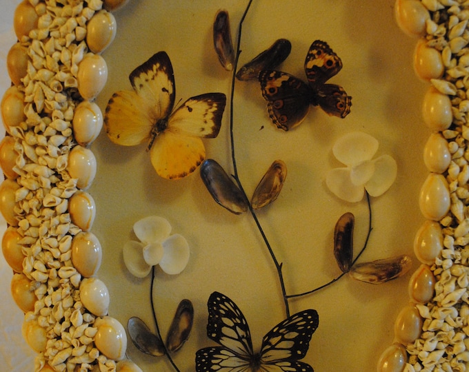 Seashell and Butterfly Shadow Box Art Piece Etsy