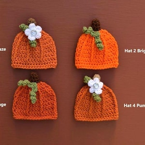 May include: Four handmade crochet pumpkin hats in shades of orange, each with a green stem and a brown top. Two hats have white flower accents. The text on the image reads: Hat 1 Orange Glaze, Hat 2 Bright Orange, Hat 3 Burnt Orange, Hat 4 Pumpkin Spice.