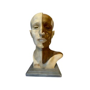 Italian  PARAVIA Vintage  Anatomical Head Circa 1930s