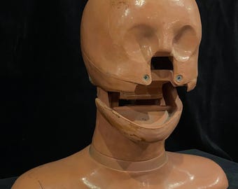 Resusci Anne Phantom Head Norway