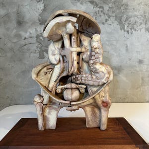 Torso Anatomical Model by Dr. Louis Thomas Jérôme Auzoux (1797-1880)