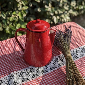 French Enamel Pot