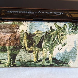 Vintage Cadburys Biscuits tin Picture of Donkeys
