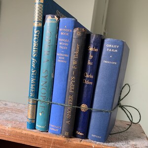 Set di libri antichi