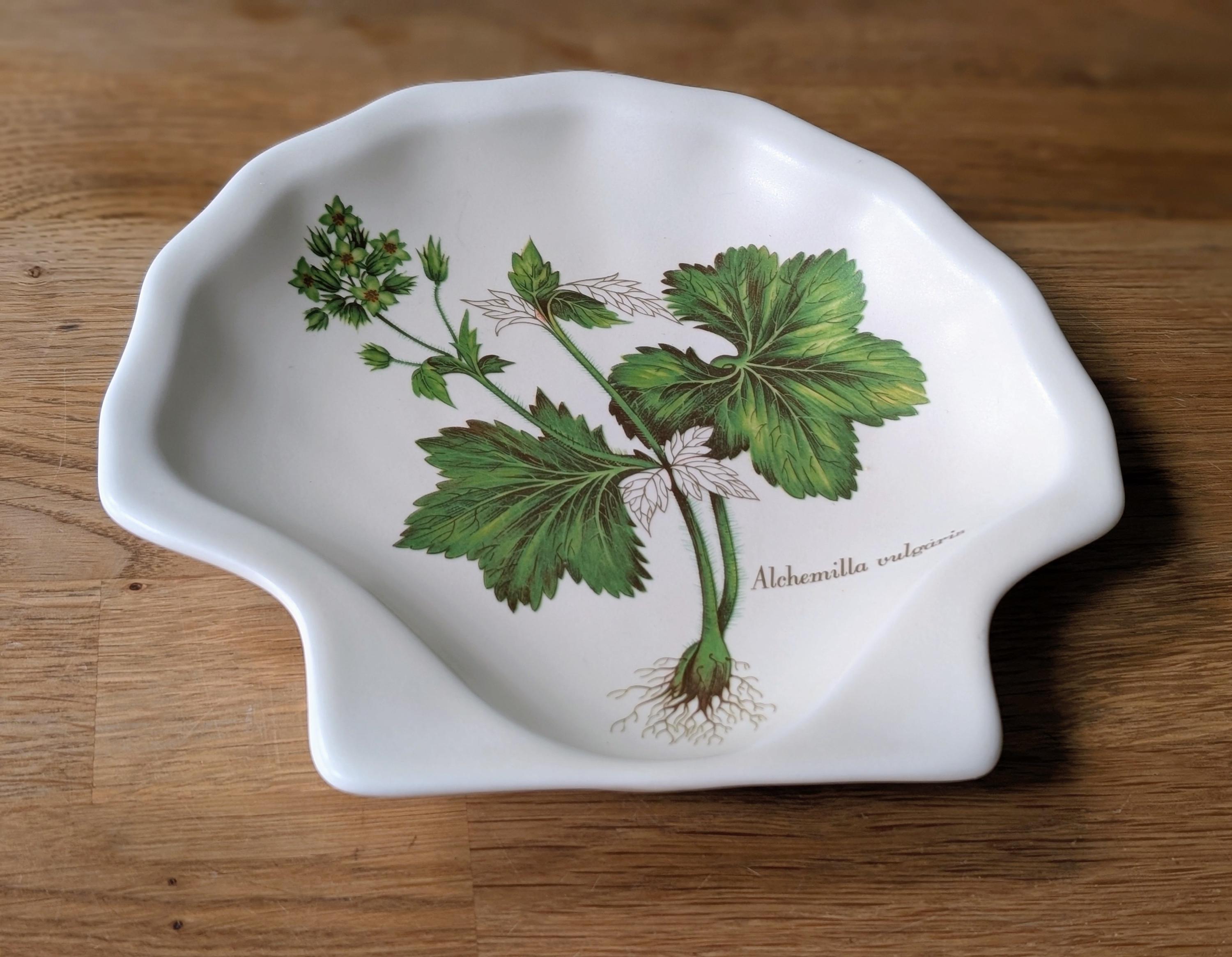 Poole pottery shell - Etsy 日本