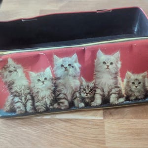 May include: A vintage red metal lunchbox with a design of six fluffy kittens. The lunchbox has a black interior and a hinged lid. The kittens are depicted against a red background, adding a playful touch to the design.
