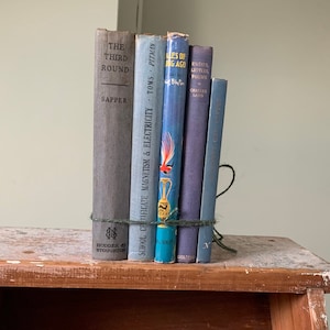 Set di libri decorativi antichi