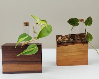 Handmade Solid Wood Propagation Stations - Cherry or Walnut, With 3 Free Cuttings