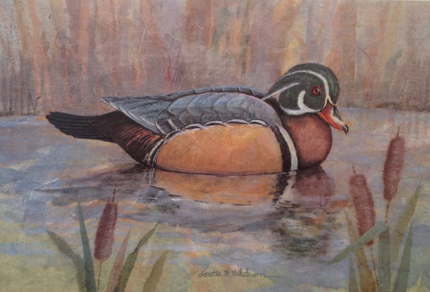 Wood Duck Art Print Etsy