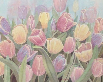 Tulips in Garden