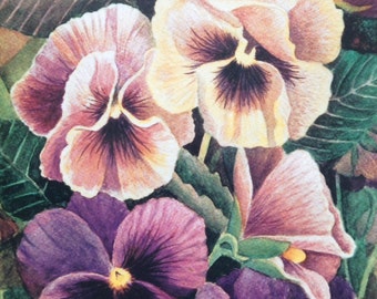 Pansies