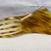 see more listings in the Celluloid Hair Combs section
