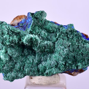 3.4cms GEM MALACHITE AZURITE Crystals Ahouli Mines Midelt Province Morocco U608