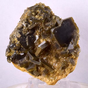 Puede incluir: Un grupo de cristales de barita marrones y verdes en una matriz de color tostado. Los cristales son afilados y bien formados, con un brillo vítreo.