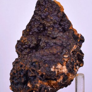 Puede incluir: Un espécimen mineral rugoso y texturizado con una superficie de color púrpura oscuro, casi negro. La roca tiene una textura burbujeante y porosa con áreas de color naranja y marrón. El mineral se exhibe sobre un soporte transparente sobre un fondo blanco.