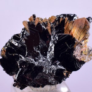 2.1cms GOLDEN RUTILE HEMATITE Spray Needles Crystals Titanium Bahia Brazil Mineral Spacimen  X12