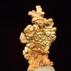 Puede incluir: Un espécimen de pepita de oro natural que presenta una superficie cristalina y texturizada con un brillo amarillo metálico. La formación de oro es irregular y ramificada, descansando sobre una pequeña base mineral porosa de color claro sobre fondo negro.