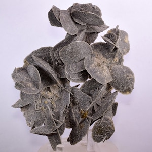 Puede incluir: Un grupo de formaciones de rosa del desierto grises, un tipo de cristal mineral, con una superficie rugosa y texturizada.