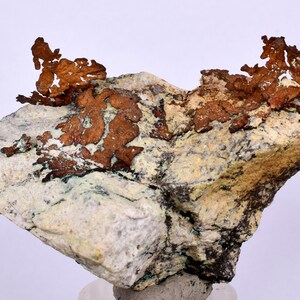 Puede incluir: Un grupo de cristales de cobre en forma dendrítica, de color marrón rojizo, sobre una matriz rocosa blanca y gris.