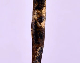 4.5cms GOLDEN BLACK CORAL Polished Peru Natural Jewelry Pendant Vb9